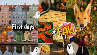 Fall crafts 👻🍂 knitting 🧶 decorating my kitchen 🫖 lot's of baking 🍪 & first fall coffee ☔☕