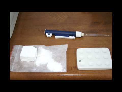 NIETOPERZ NTSGP   PODARUJ SOBIE WOLNOŚĆ