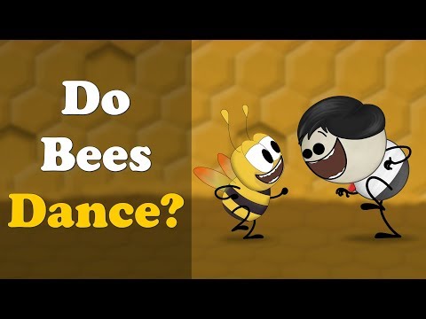 蜂は踊る？| 蜂は踊るのか？ (Do Bees Dance? | #aumsum)