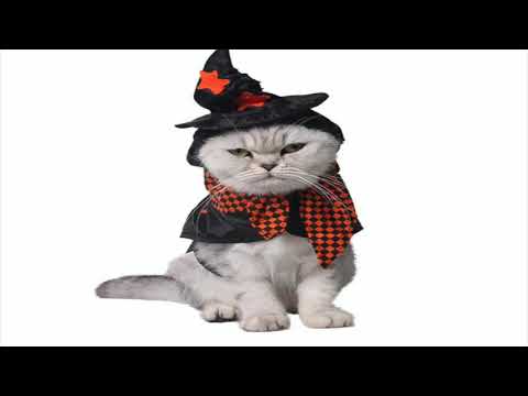 deep house nu disco para la fiesta en la noche