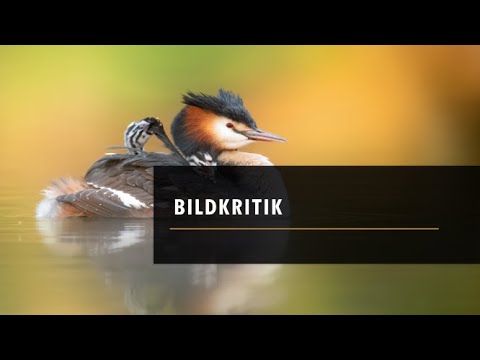 Ich bewerte eure Bilder - Bildkritik