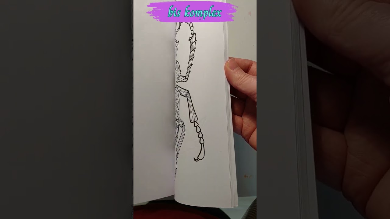 Stressabbau Mandala Zentangle Tiermalbuch. Einfache und anspruchsvollere Motive.