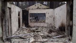 Devastation and Recovery: Valley Fire Aftermath