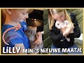LAATSTE KEER KONiJNTJE MiNi KNUFFELEN VOORDAT HiJ NAAR NiEUW THUiS GAAT ? |  Bellinga Vlog #2581