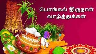 Happy Pongal Whatsapp Status Tamil| Pongal Whatsapp Status Tamil 2022| Happy Pongal Wishes in Tamil