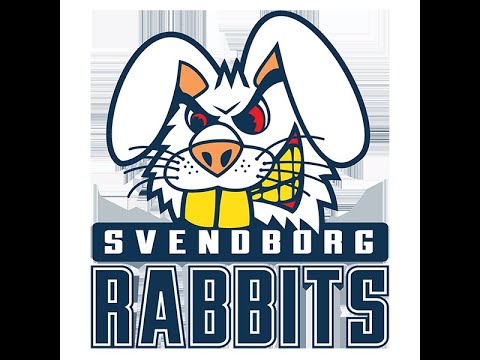 DAGENS KANIN: Magnes Darling