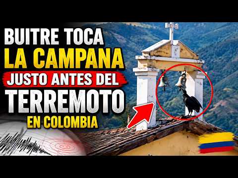 BUITRE TOCA LA CAMPANA SEGUNDOS ANTES DEL TERREMOTO EN COLOMBIA | ¿SEÑAL O CASUALIDAD? VIDEO VIRAL