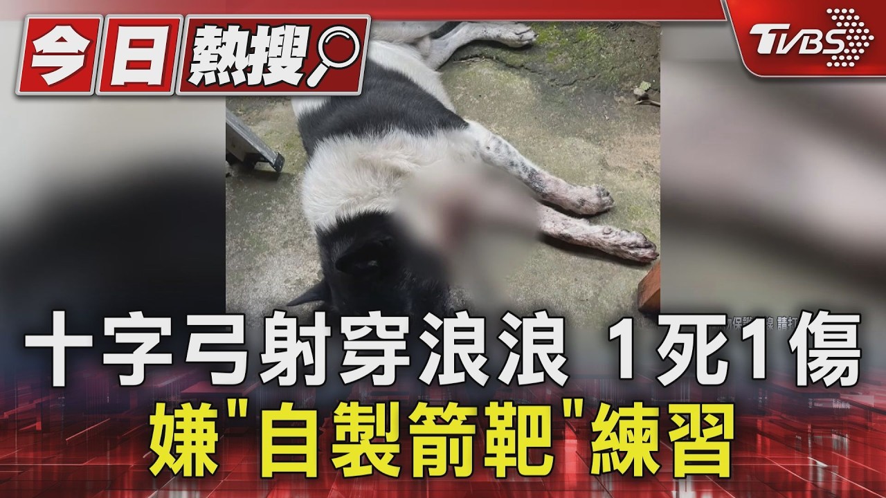 浪浪身插50cm箭1死1重傷!警搜出嫌犯竟「自製標靶」練射擊