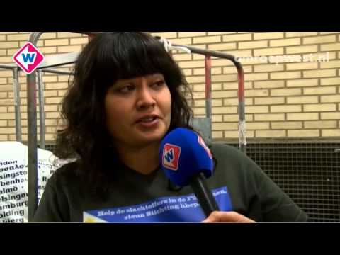 Samenvatting actiedag Omroep West