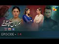 Hum Kahan Ke Sachay Thay | Episode 14 | Eng Sub | Presented by Mezan, Master Paints & ITEL Mobile