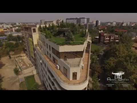 ArtGroup INT  Str. Grigore Gafencu, Nr.9