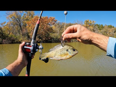 4 Hours of RAW and UNCUT Kayak Catfish and Carp Fishing with Live Bluegill and Worms