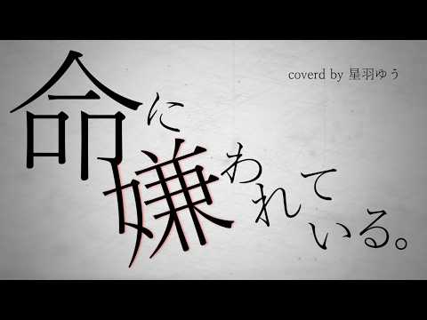 最新曲