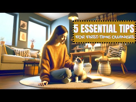 5 Essential Tips for First-Time Cat Owners - Ultimate Care Guide