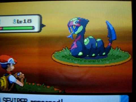 Shiny Seviper (1 of 7) pokeradar chain 40 pokemon diamond