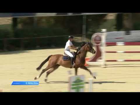 6yo - Canstakko x Cornet Obolensky - 1°place - reserved 6 yo - SOLD