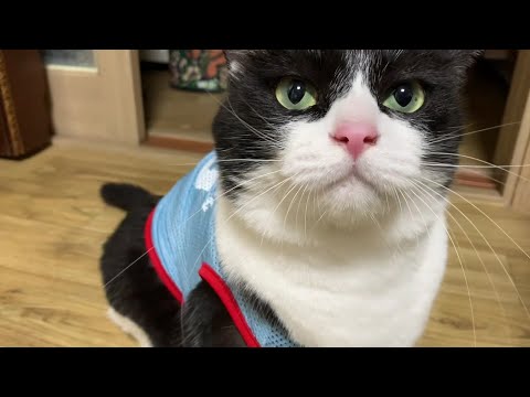 보자보자하니까 보자기로 보이지!