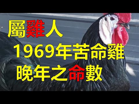 1969年生肖幾歲