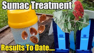Sumac Treatments Results To Date.....