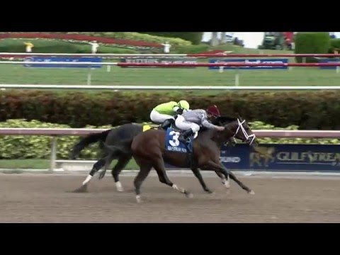 Keen Ice Headlines 2016 Donn Handicap
