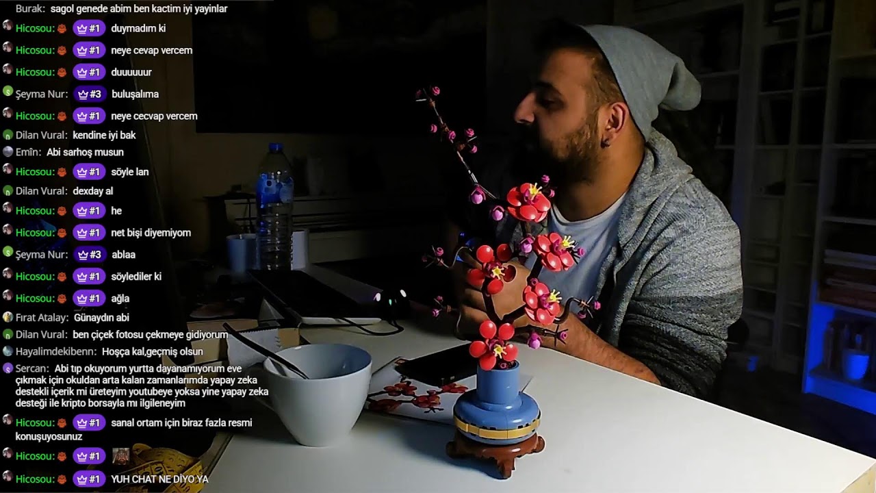 🔴hastayım(soğuk algınlığı), lego yapıyorum, lo-fi müzik var, konuşma yok