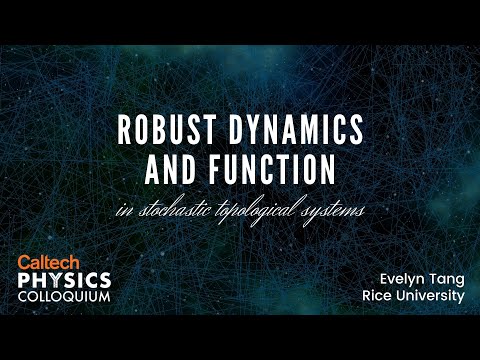 Robust dynamics and function in stochastic topological systems - Evelyn Tang