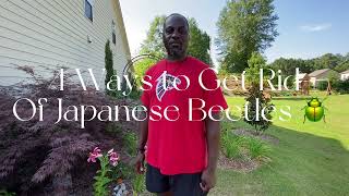 4 Ways to Get Rid of Japanese Beetles // July 2022