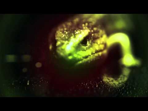 Showtek - 90s By Nature (feat. MC Ambush) (TV Noise Remix)