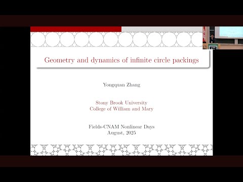 Geometry and dynamics of infinite circle packings