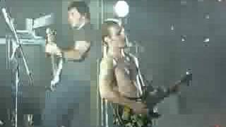 Silverchair- The Lever