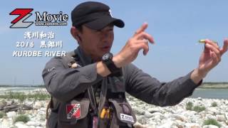 2016黒部川のサクラマスに挑む。(浅川 和治)