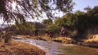 Letskraal Video 2