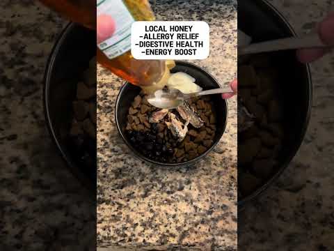 5 things I feed my dogs for their allergies #xlbully #americanbully #pitbulldog