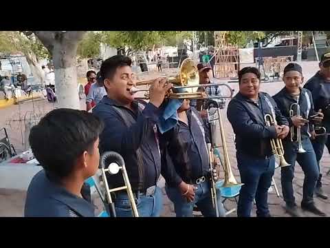 Santo Domingo Tonahuixtla estuvo de fiesta, feria anual 2024. banda de COSOLTEPEC OAXACA