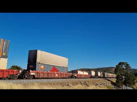 Specialised Container Transport's 3MP9 (SCT009 - CSR008) power through Brigadoon, WA.