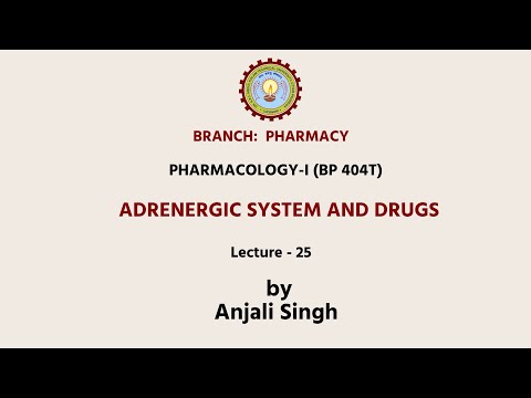 Adrenergic System And Drugs