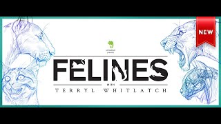 Trailer: Felines with Terryl Whitlatch video