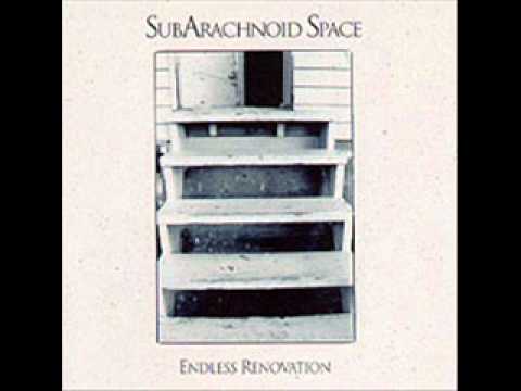 SubArachnoid Space - Square Wheels