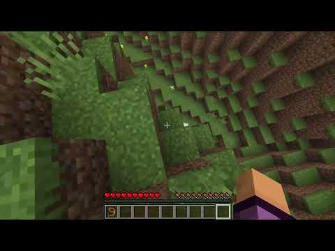 Showcase video