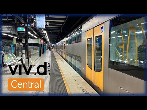 Transport for Sydney Vlog 811: Central Trainspotting - VIVID Sydney 2024