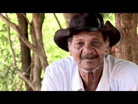 Assista ao vídeo