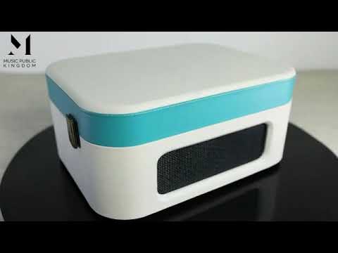 Music Public Kingdom Suitcase Vinly Record Player