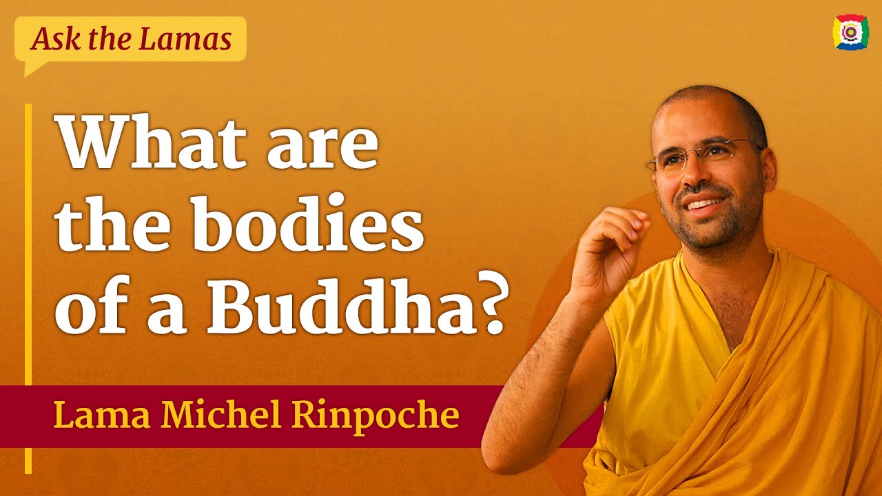 What are the bodies of a Buddha?