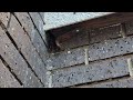Small Hole in Foundation Filled with Yellow Jackets in Carteret, NJ