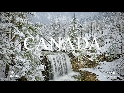 Snowy Waterfall in Canada 🇨🇦 |  Winter Nature Ambience (4K) ❄️