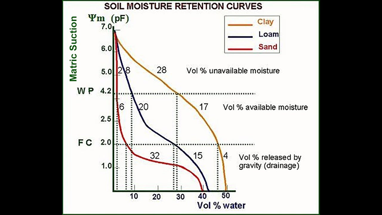 Soil Moisture Curve Explanation