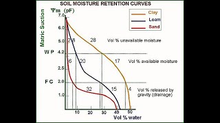 Soil Moisture Curve Explanation