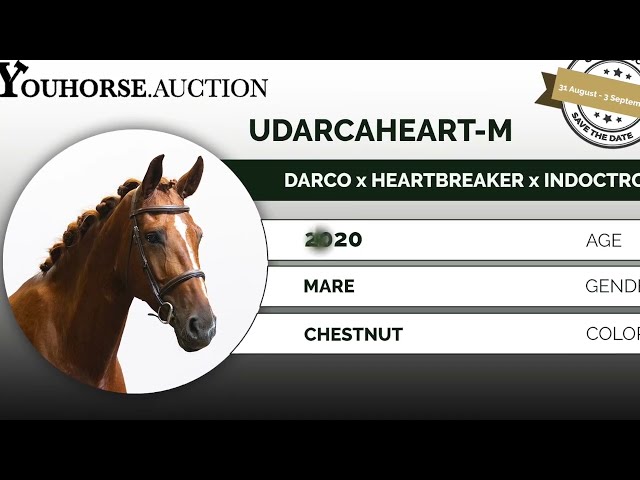 Udarcaheart dressage
