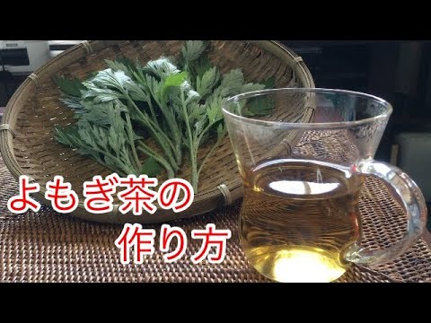 よもぎ茶の作り方、使い方、効果 植物