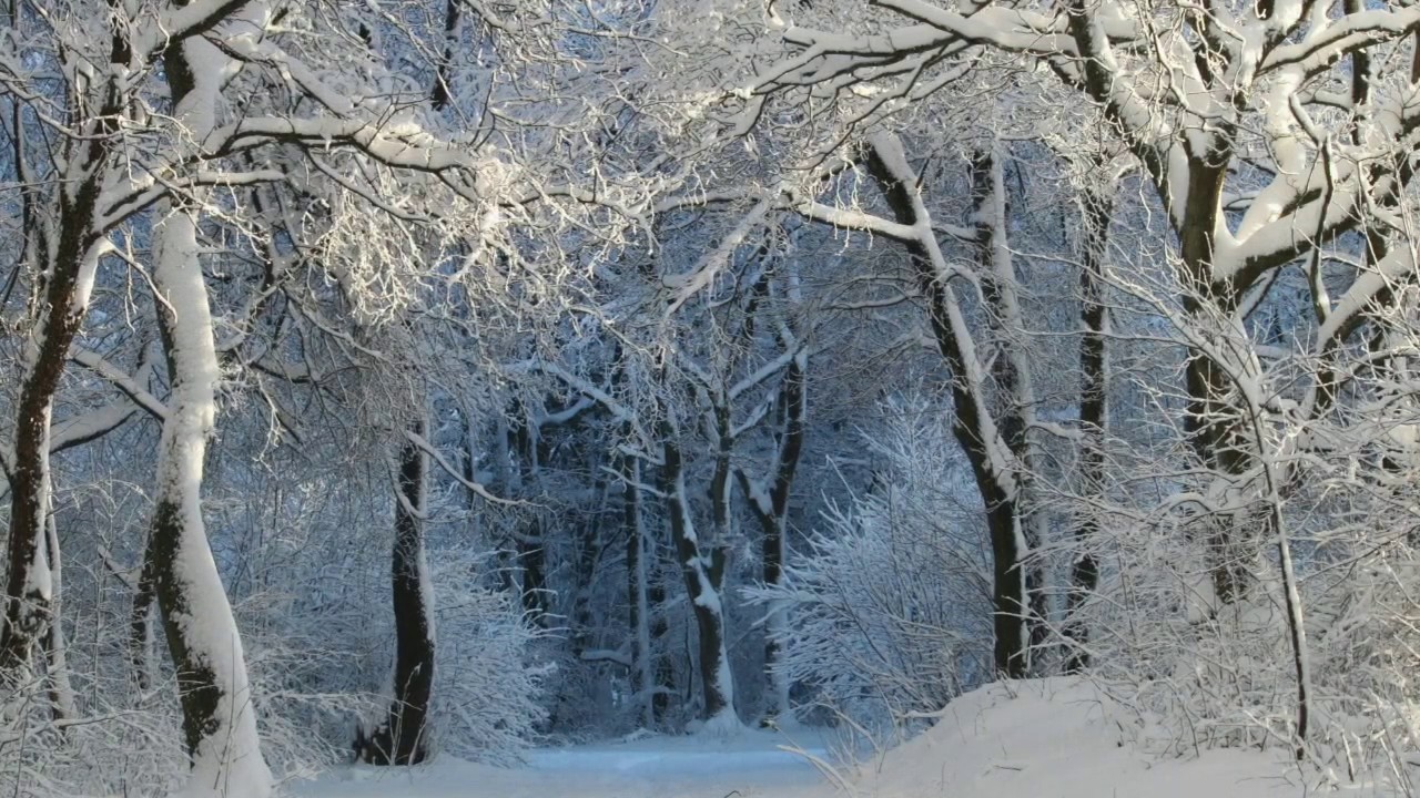 Iarna, de Vasile Alecsandri